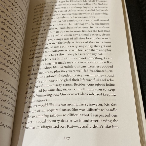 Kit Kat & Lucy the Country Cats who changed a city girl’s world by Lonnie DuPont - Picture 9 of 10